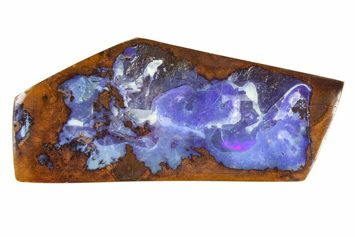 Galactic Boulder Opal Specimen - Queensland, Australia #381814